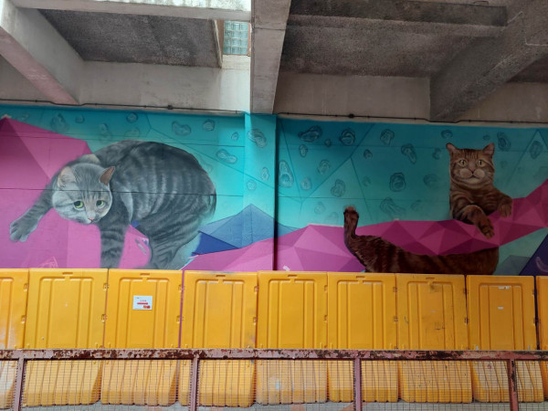 俄羅斯畫家Vladimir Boldyrev貓壁畫新作屯門再現 一連三幅橫跨山景南輕鐵站！