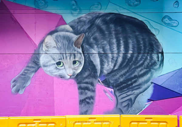 俄羅斯畫家Vladimir Boldyrev貓壁畫新作屯門再現 一連三幅橫跨山景南輕鐵站！