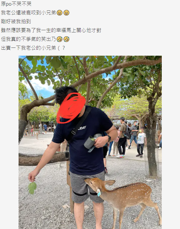 餵奈良鹿被咬傷痛到日本街頭大哭 檢查傷勢勁恐怖！網民分享曾被咬重要部位 