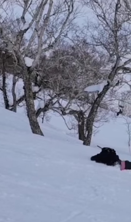 森美日本滑雪發生流血意外 不慎與人相撞 IG報平安「差啲畀人ko」 