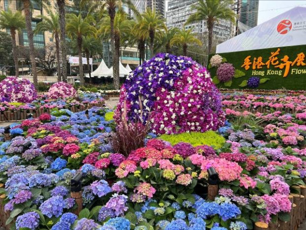 香港花卉展閉幕 免費派3000盆鮮花！市民可免費領取盆栽回家繼續種植