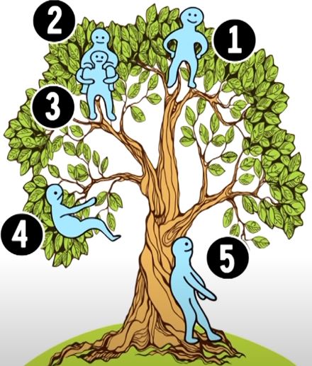心理測驗｜1圖測試壓力指數 樹上5個位置你會選哪個？／附紓壓茶飲推介