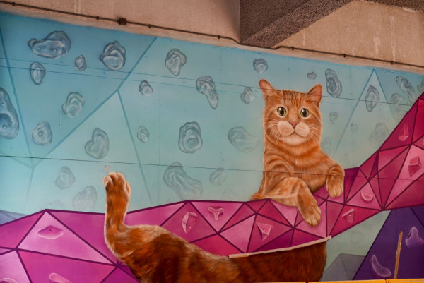 俄羅斯畫家Vladimir Boldyrev屯門山景南貓貓壁畫完工！原來與全新室內攀石場有關