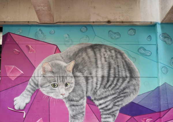 俄羅斯畫家Vladimir Boldyrev屯門山景南貓貓壁畫完工！原來與全新室內攀石場有關