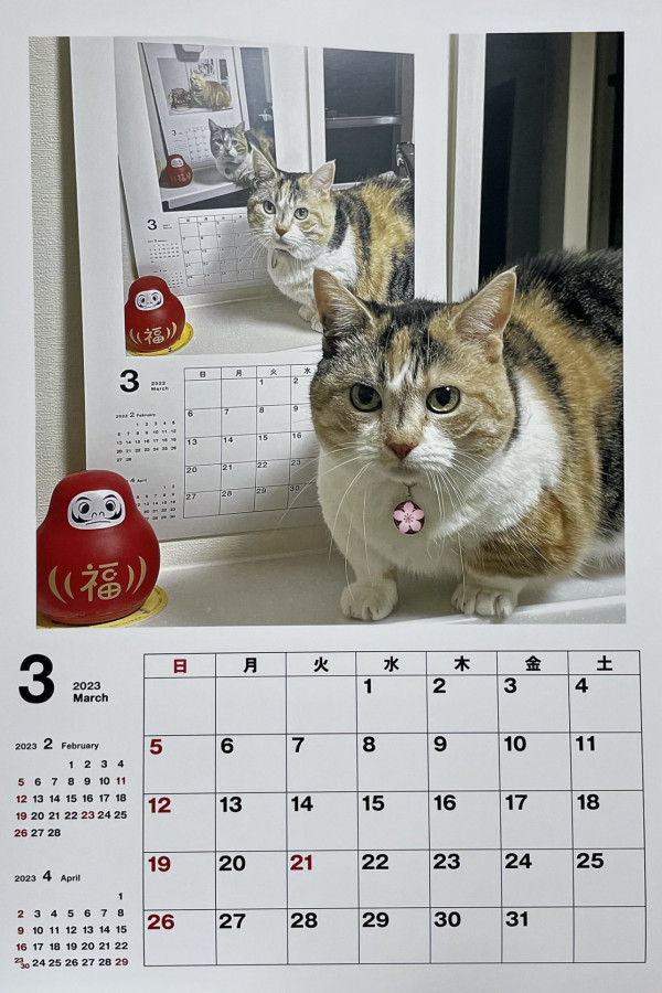 日本網民創意分享！ 自製超鬼馬「無限反射」貓貓月曆