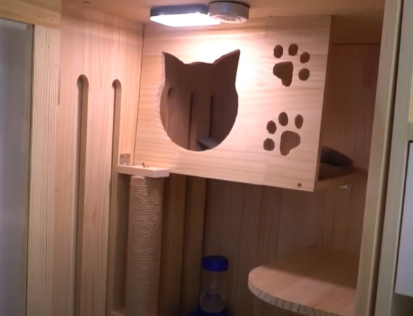 380 呎貓奴居屋  日式木系風的貓貓安樂窩