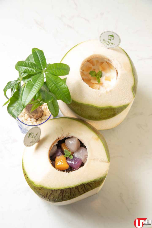 椰子主題甜品店 滋潤桃膠雪燕椰皇燉蛋白