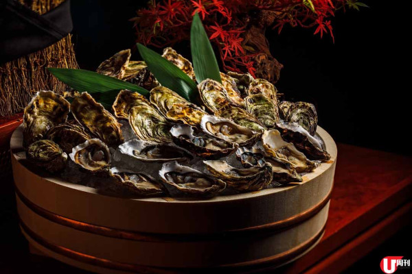 摩登日菜 Brunch  $498 任食創作壽司刺身