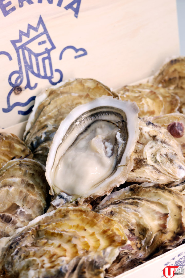 香港生蠔關注組元朗開舖  爆賣日本蠔相生之惠 / 獨家法國蠔