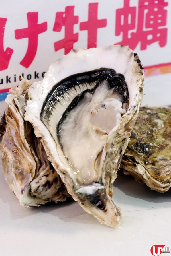 香港生蠔關注組元朗開舖  爆賣日本蠔相生之惠 / 獨家法國蠔