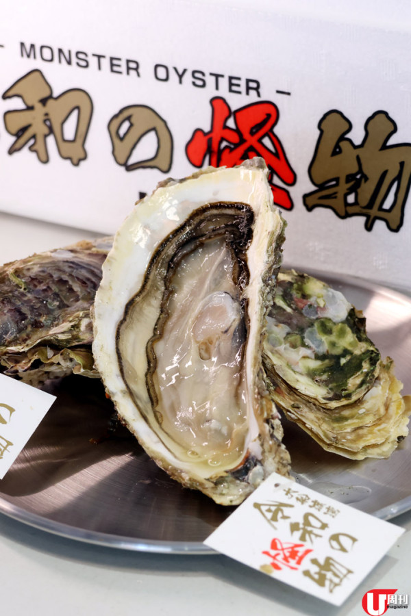 香港生蠔關注組元朗開舖  爆賣日本蠔相生之惠 / 獨家法國蠔