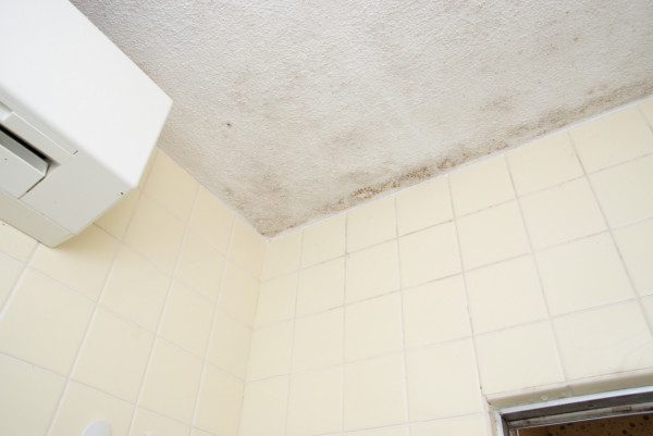 天氣潮濕浴室有異味、牆身發霉點算好? 4招教你居家防潮防霉、從生活小習慣入手