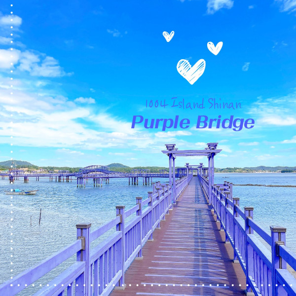 韓國新祕境「紫色島」超夢幻 紫色控打卡必去！ 1.4公里長紫色橋+大片薰衣草花海 