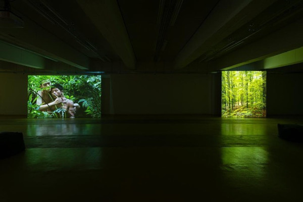 與植物合作的藝術家鄭波 個展集《蕨戀》等四部生態藝術影片