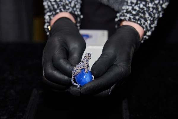 速覽Cartier大展  溫莎公爵夫人首飾 自由鳥 美洲豹 珠寶動物見證奢侈的自由