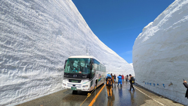 2023日本立山黑部雪牆大縮水  全因降雪量大減！打破30年來新低 