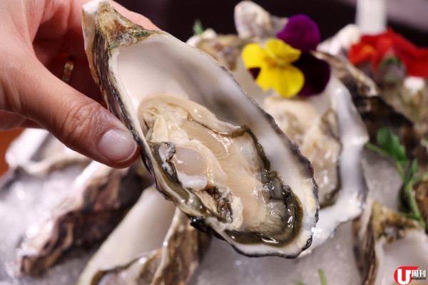 荃灣街坊蠔吧 五六月優惠 $10 法國生蠔 / 全日主餐牌 8 折