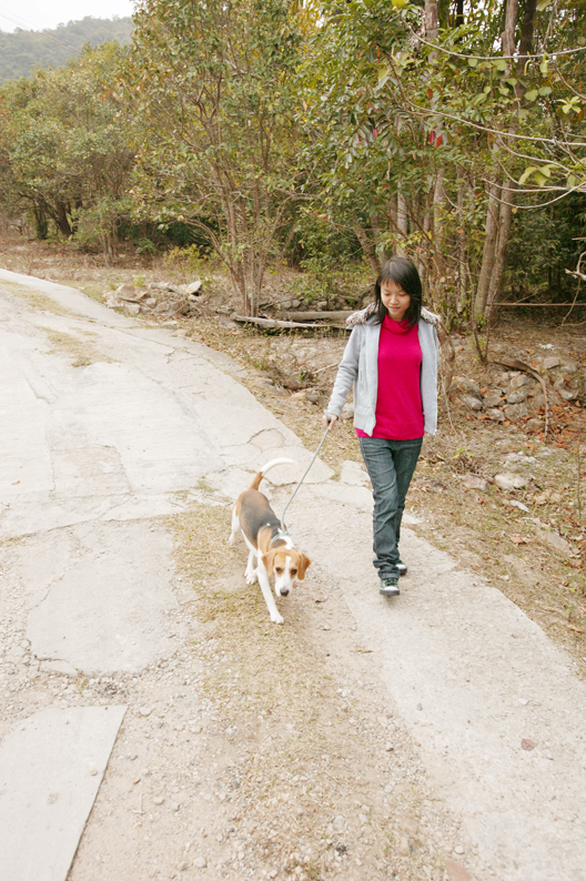 帶狗去郊野公園散步原來係犯法？ 邊類動物唔可以被帶入郊野公園範圍？