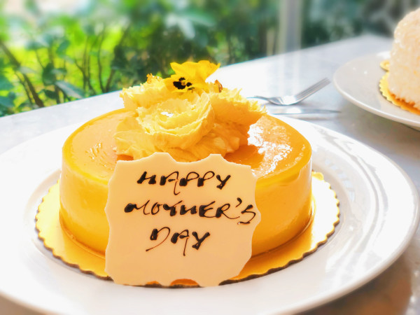 【母親節蛋糕2023】13款母親節蛋糕推介 聖安娜餅屋／La Famille／Häagen-Dazs／龍島