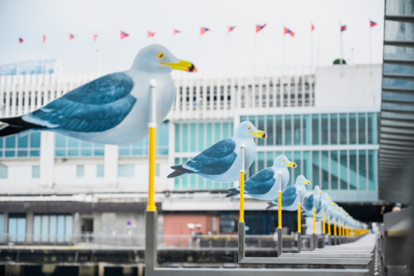 瀨戶內國際藝術祭「海鷗」飛抵香港 日本藝術家木村崇人視覺化風的形狀