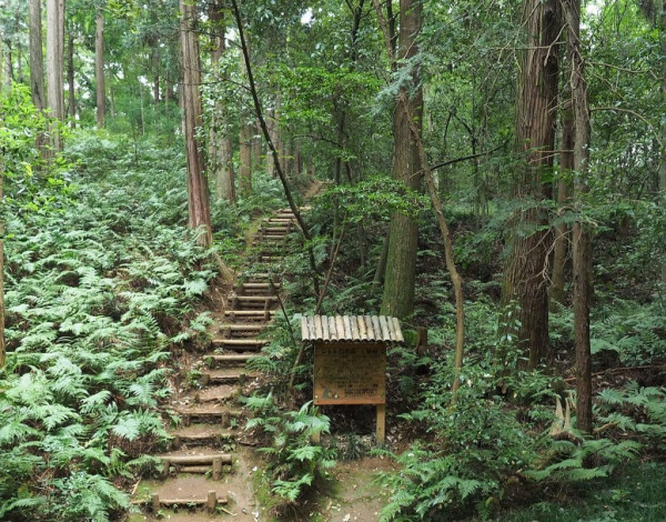 真實版「龍貓森林」！ 宮崎駿動畫取景地東京近郊「狹山丘陵」 