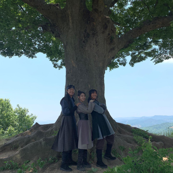 韓國超浪漫心形愛情樹 《德魯納酒店》取景地！樹下許願能獲愛情、400年象徵永恆 