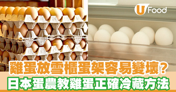 原來雞蛋放雪櫃蛋架容易含菌變壞？   日本蛋農教雞蛋正確冷藏方法！  