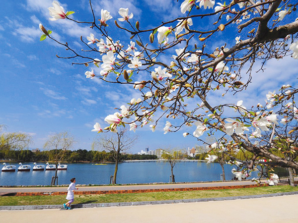 【福岡自由行2026】福岡有咩好玩點玩睇呢篇！福岡景點市內近郊好去處+交通住宿 