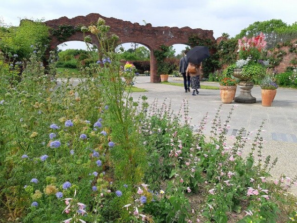 日本1地區派發5,000日圓消費券 景點/藥妝店/手信店/超市/Outlets都用得 