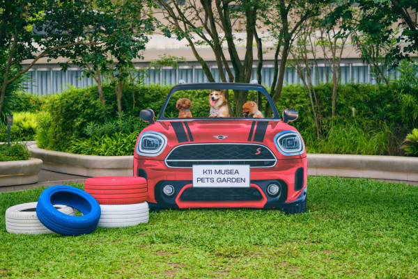 寵物好去處｜汽車主題寵物友善公園登陸K11 MUSEA！1:1私家車打卡位/高架步行橋/寵物工作坊