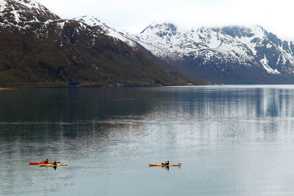 11日郵挪威 登天鵝探索郵輪「月亮女神號」（SH Diana）遊北極 
