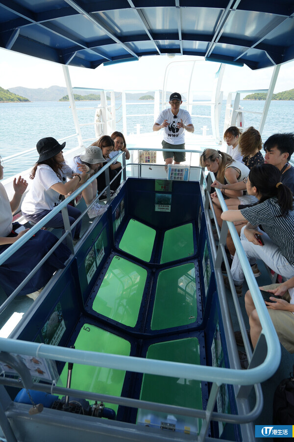 西貢一日遊 | WWF海下灣獨家珊瑚育養體驗 新推繪畫工作坊+全港唯一玻璃底船 探索本地海洋生態！
