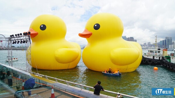 黃鴨相隔10年再來香港！兩隻18米高黃色巨鴨Rubber Ducks 6月10日起中環海濱展出