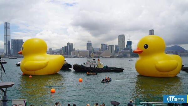 黃鴨相隔10年再來香港！兩隻18米高黃色巨鴨Rubber Ducks 6月10日起中環海濱展出