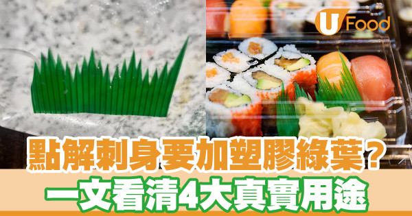 為何刺身拼盤加塑膠綠葉？ 一文看清4大真實用途