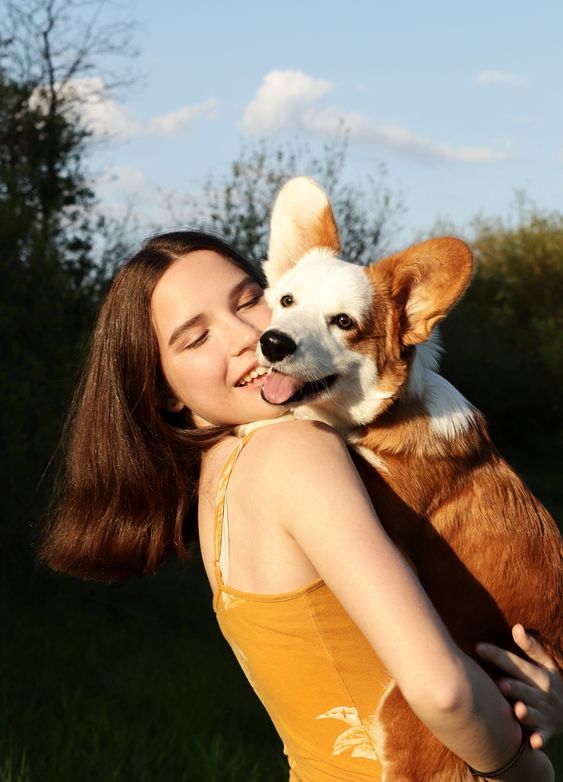 日本研究顯示「撫摸貓咪有助分泌幸福賀爾蒙」 好心情源自毛孩！主人記得每日摸摸貓狗15分鐘