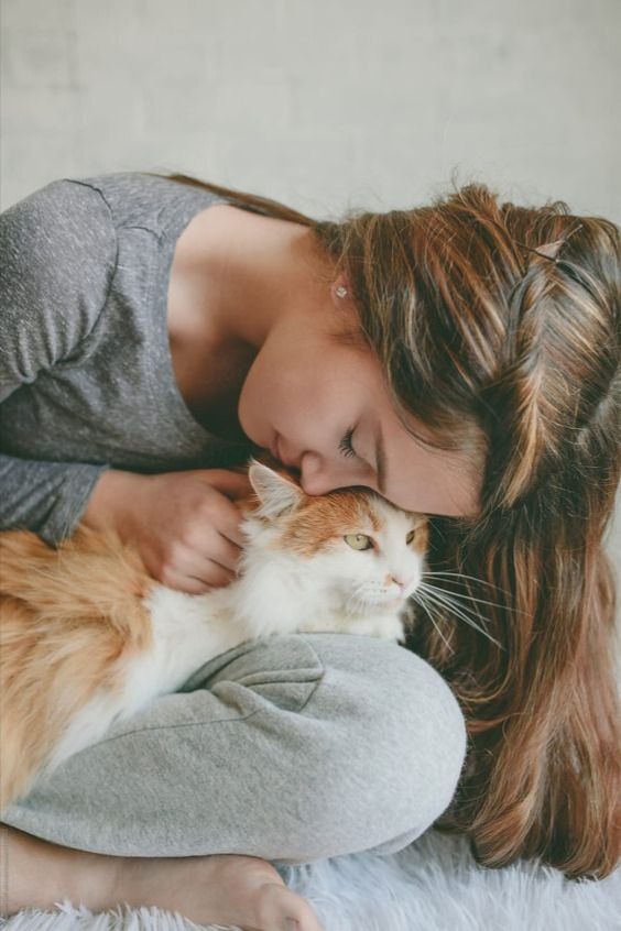 日本研究顯示「撫摸貓咪有助分泌幸福賀爾蒙」 好心情源自毛孩！主人記得每日摸摸貓狗15分鐘