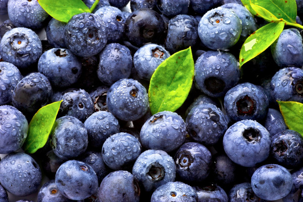 富含天然抗氧化物 多酚的低糖食物：藍莓