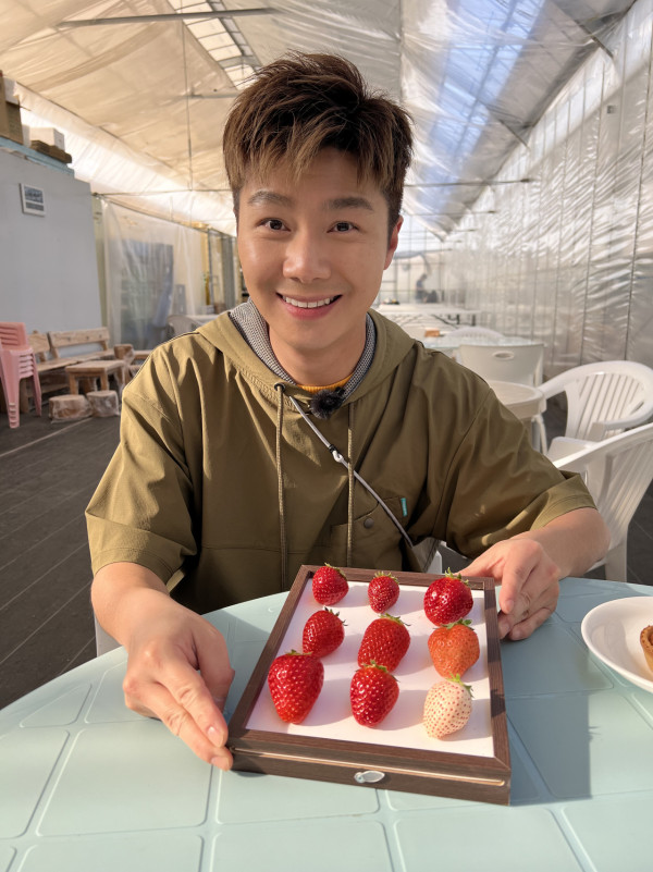 圖片來源:TVB@周遊關西第一集行程景點 周遊關西2023|周奕瑋最強大阪/京都/奈良/和歌山/淡路島行程 47大景點美食全攻略