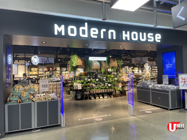 港人必逛韓牌家品雜貨店Modern House  低價入手韓式小物、廚具！