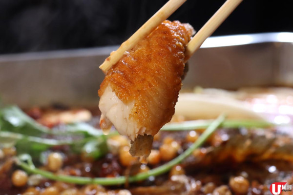 尖沙咀宵夜川菜館 食 1 元雞煲 / 招牌蟹粥 烤魚 海鮮大咖