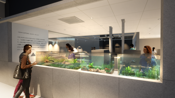 北海道札幌全新水族館7月開幕 親親爆萌小企鵝、20米巨型海洋屏幕 沉浸式走進海底世界!