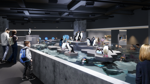 北海道札幌全新水族館7月開幕 親親爆萌小企鵝、20米巨型海洋屏幕 沉浸式走進海底世界!