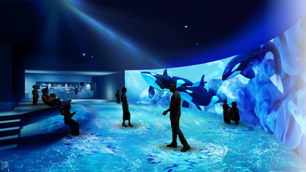 北海道札幌全新水族館7月開幕 親親爆萌小企鵝、20米巨型海洋屏幕 沉浸式走進海底世界！ 