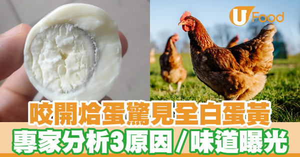 咬開烚蛋驚見白蛋黃 專家分析3原因／味道曝光