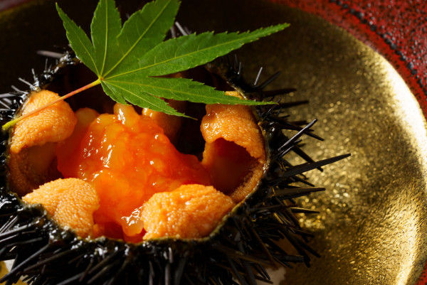 中環日式餐廳「ODDS」推出全新季節限定套餐「夏之饗宴」    北海道生海膽佐富山白蝦／燒津鰹魚／佐賀和牛壽喜燒