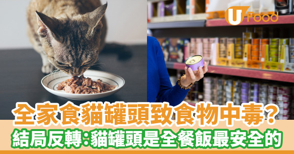 全家食貓罐頭致食物中毒？ 結局反轉：貓罐頭是全餐飯最安全的