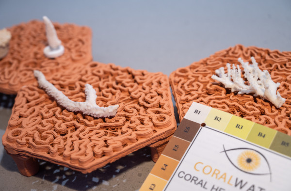暑假好去處丨海洋公園推免費珊瑚之旅！設互動遊戲+導賞團、免費欣賞珊瑚美態（附報名方式）