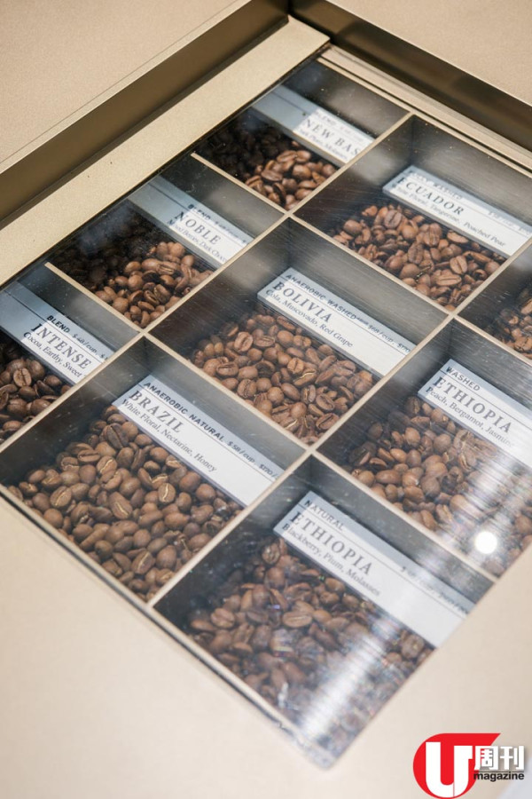 大埔超強精品咖啡店 希臘小白屋裝修 / 抵食三道菜晚餐