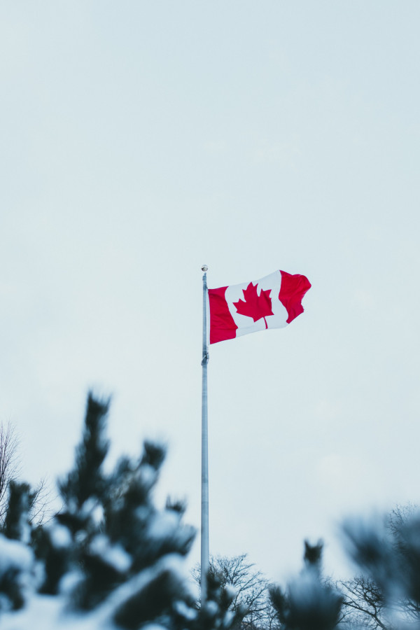 加拿大放寬港人移民學歷要求！救生艇計劃工作滿1年即可申請永久居留！